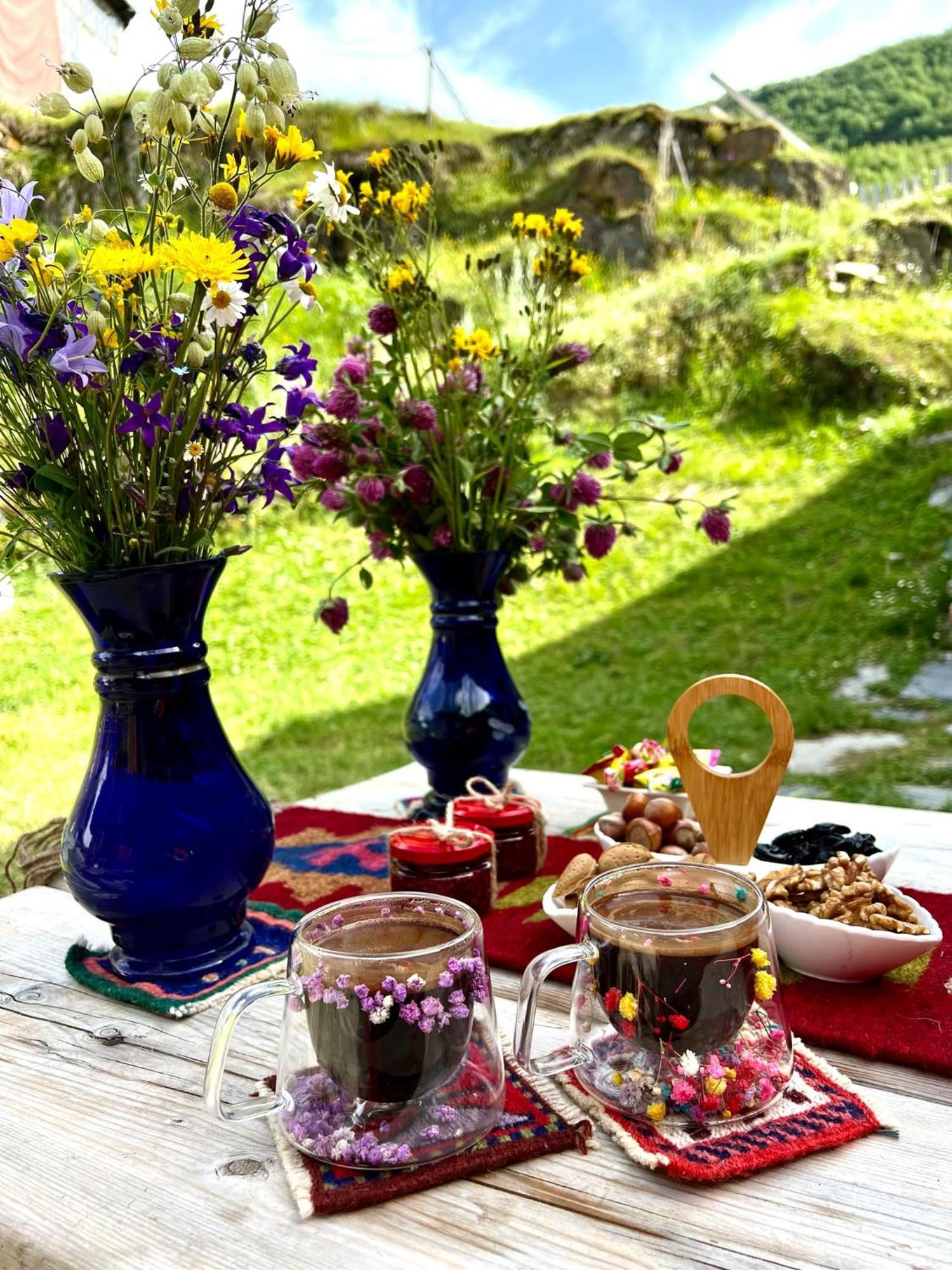 Ushguli 12 Century Hotel Kültér fotó